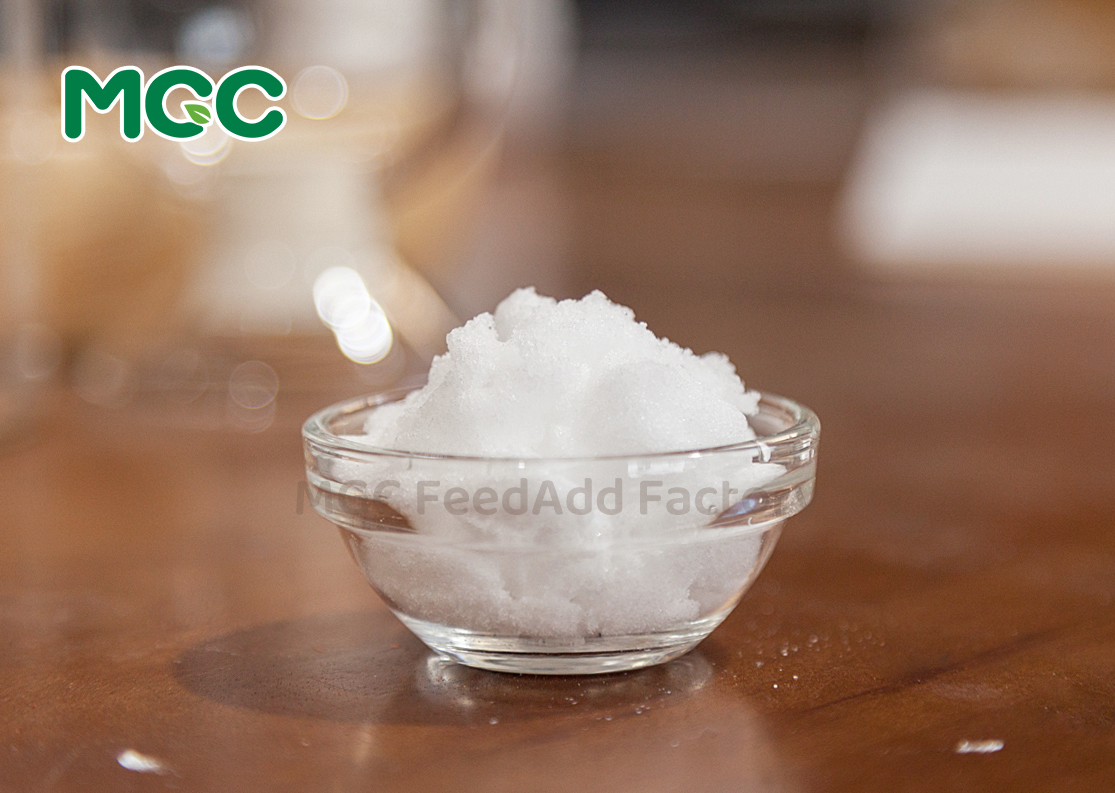 Choline Chloride